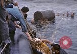 Image of Japanese prisoners Pacific Ocean, 1945, second 54 stock footage video 65675075966