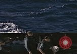 Image of USS Sea Dog Pacific Ocean, 1945, second 34 stock footage video 65675075990