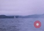 Standbild USS Balao Pazifik, 1945, aus Sekunde 53 historischem Filmmaterial Videoclip 65675076002