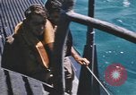 Standbild USS Balao Pazifik, 1945, aus Sekunde 45 historischem Filmmaterial Videoclip 65675076003