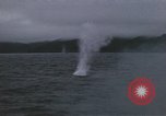Image of USS Balao Pacific Ocean, 1945, second 5 stock footage video 65675076004