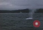 Image of USS Balao Pacific Ocean, 1945, second 6 stock footage video 65675076004