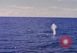 Image of USS Crevalle Pacific Ocean, 1945, second 10 stock footage video 65675076012