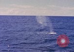 Image of USS Crevalle Pacific Ocean, 1945, second 11 stock footage video 65675076012
