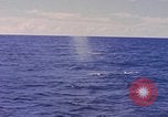 Image of USS Crevalle Pacific Ocean, 1945, second 12 stock footage video 65675076012