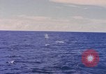 Image of USS Crevalle Pacific Ocean, 1945, second 19 stock footage video 65675076012