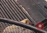 Image of USS Crevalle Pacific Ocean, 1945, second 47 stock footage video 65675076012