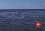 Standbild Das US-amerikanische U-Boot rettet den Überlebenden vor einem versunkenen japanischen Kriegsschiff Pazifik, 1945, aus Sekunde 10 historischem Filmmaterial Videoclip 65675076044