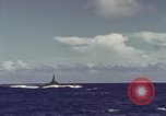 Immagine di Stati Uniti sommergibile Oceano Pacifico, 1977, secondo 36 filmato di repertorio 65675076050