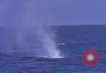 Image of USS Skate Pacific Ocean, 1945, second 19 stock footage video 65675076058