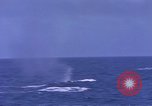 Image of USS Skate Pacific Ocean, 1945, second 35 stock footage video 65675076058
