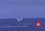 Image of USS Skate Pacific Ocean, 1945, second 40 stock footage video 65675076058