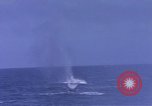 Image of USS Skate Pacific Ocean, 1945, second 42 stock footage video 65675076058