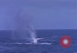 Image of USS Skate Pacific Ocean, 1945, second 43 stock footage video 65675076058