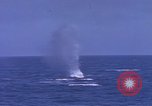 Image of USS Skate Pacific Ocean, 1945, second 46 stock footage video 65675076058