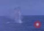 Image of USS Skate Pacific Ocean, 1945, second 52 stock footage video 65675076058