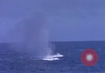Image of USS Skate Pacific Ocean, 1945, second 53 stock footage video 65675076058