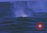 Standbild USS Sea Dog Pazifik, 1945, aus Sekunde 17 historischem Filmmaterial Videoclip 65675076068