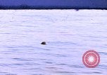 Image of mine in water Pacific Ocean, 1945, second 1 stock footage video 65675076071