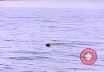 Image of mine in water Pacific Ocean, 1945, second 3 stock footage video 65675076071