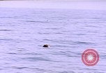 Image of mine in water Pacific Ocean, 1945, second 4 stock footage video 65675076071