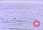 Image of mine in water Pacific Ocean, 1945, second 5 stock footage video 65675076071
