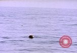 Image of mine in water Pacific Ocean, 1945, second 6 stock footage video 65675076071