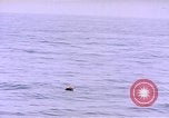 Image of mine in water Pacific Ocean, 1945, second 7 stock footage video 65675076071