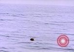 Image of mine in water Pacific Ocean, 1945, second 8 stock footage video 65675076071