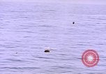 Image of mine in water Pacific Ocean, 1945, second 9 stock footage video 65675076071