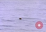 Image of mine in water Pacific Ocean, 1945, second 10 stock footage video 65675076071