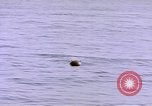 Image of mine in water Pacific Ocean, 1945, second 11 stock footage video 65675076071
