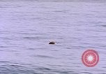 Image of mine in water Pacific Ocean, 1945, second 13 stock footage video 65675076071