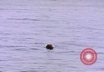 Image of mine in water Pacific Ocean, 1945, second 14 stock footage video 65675076071