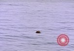 Image of mine in water Pacific Ocean, 1945, second 15 stock footage video 65675076071