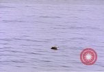 Image of mine in water Pacific Ocean, 1945, second 16 stock footage video 65675076071