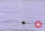 Image of mine in water Pacific Ocean, 1945, second 17 stock footage video 65675076071