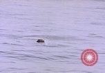 Image of mine in water Pacific Ocean, 1945, second 19 stock footage video 65675076071