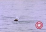 Image of mine in water Pacific Ocean, 1945, second 20 stock footage video 65675076071