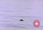 Image of mine in water Pacific Ocean, 1945, second 21 stock footage video 65675076071