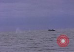 Image of American submarine Pacific Ocean, 1945, second 17 stock footage video 65675076074