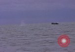 Image of American submarine Pacific Ocean, 1945, second 18 stock footage video 65675076074