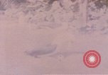 Image Gooneyville oiseaux Océan Pacifique, 1945, de la seconde 27 séquences d'archives historiques vidéo 65675076077