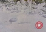 Image Gooneyville oiseaux Océan Pacifique, 1945, de la seconde 28 séquences d'archives historiques vidéo 65675076077