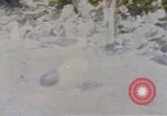 Image Gooneyville oiseaux Océan Pacifique, 1945, de la seconde 29 séquences d'archives historiques vidéo 65675076077