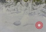 Image Gooneyville oiseaux Océan Pacifique, 1945, de la seconde 30 séquences d'archives historiques vidéo 65675076077