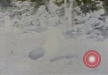 Image Gooneyville oiseaux Océan Pacifique, 1945, de la seconde 31 séquences d'archives historiques vidéo 65675076077