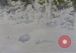 Image Gooneyville oiseaux Océan Pacifique, 1945, de la seconde 32 séquences d'archives historiques vidéo 65675076077