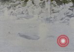 Image Gooneyville oiseaux Océan Pacifique, 1945, de la seconde 35 séquences d'archives historiques vidéo 65675076077
