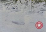 Image Gooneyville oiseaux Océan Pacifique, 1945, de la seconde 36 séquences d'archives historiques vidéo 65675076077